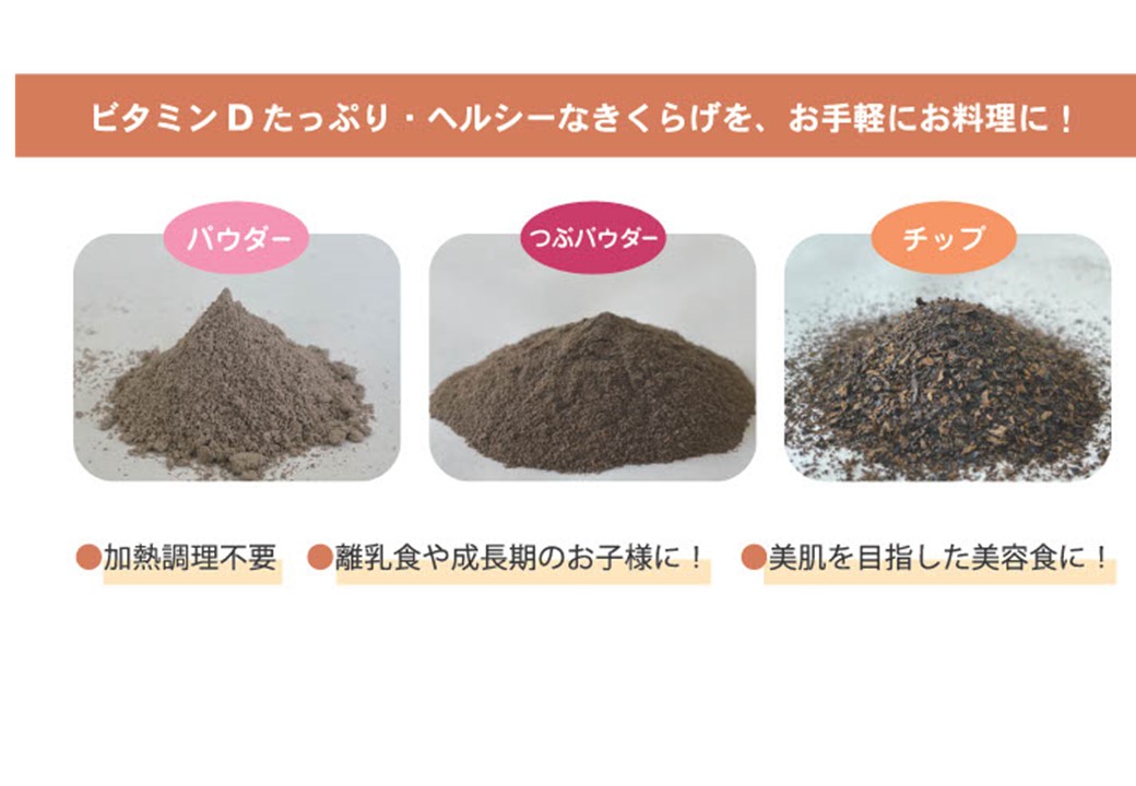 大量入荷 ☆新商品☆きくらげパウダー&チップについて | 一般財団法人日本 アイドル